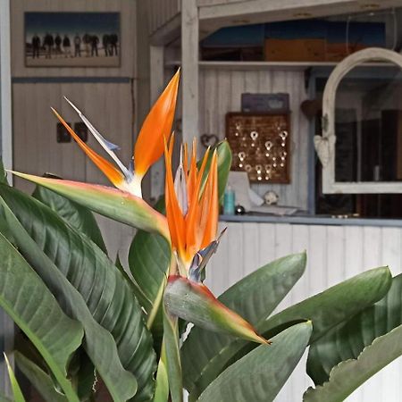 B&B Fischerstueble - Adults Only Hagnau Dış mekan fotoğraf